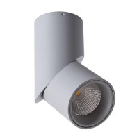 Накладной светильник Orion Arte Lamp A7717PL-1GY