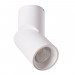 Накладной светильник Orion Arte Lamp A7717PL-1WH