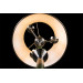Торшер Alice Arte Lamp A3579PN-3AB