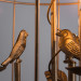 Подвесной светильник Gabbia Arte Lamp A1865SP-3BG