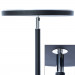 Торшер Sceptrum Arte Lamp A1822PN-1BK