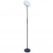 Торшер Sceptrum Arte Lamp A1822PN-1BK