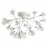 Потолочная люстра Candy Arte Lamp A7274PL-27WH