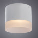 Накладной светильник Castor Arte Lamp A5554PL-1WH