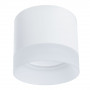 Накладной светильник Castor Arte Lamp A5554PL-1WH