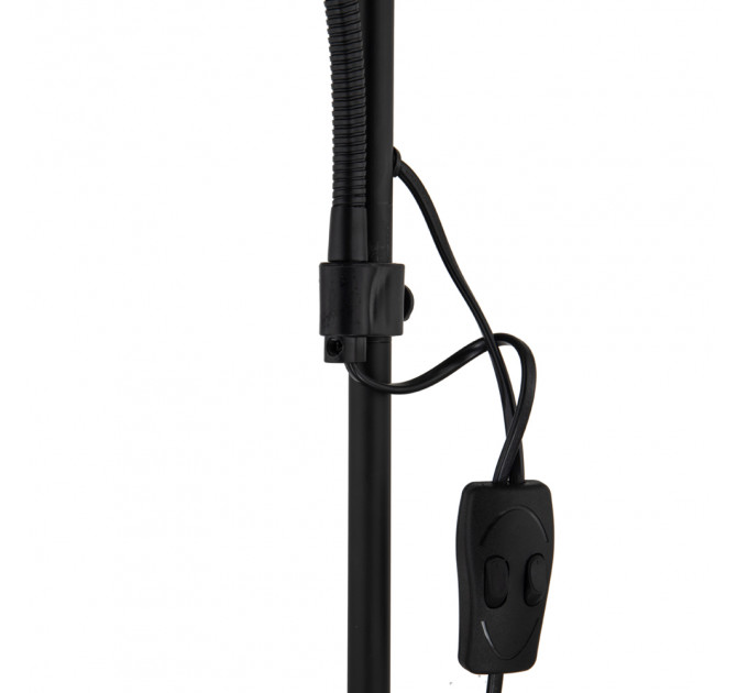 Торшер Arte Lamp DUETTO A9569PN-2BK
