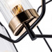 Потолочная люстра Celaeno Arte Lamp A7004PL-5BK