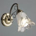 Настенное бра Fiorita Arte Lamp A6273AP-1AB