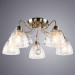 Потолочная люстра Rugiada Arte Lamp 5*60W Е14 A1658PL-5AB