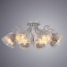 Потолочная люстра Calice Arte Lamp 8*40W Е14 A9081PL-8WG