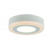 Накладной светильник Antares Arte Lamp LED 6W A7809PL-2WH