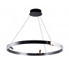 Подвесная люстра Arte Lamp CESARE A1993SP-38BK