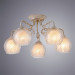 Потолочная люстра Charlotte Arte Lamp A7062PL-5WG