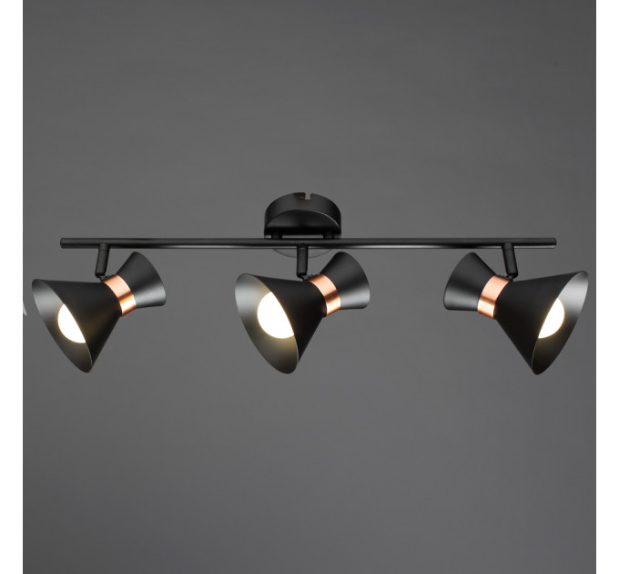Спот Baltimore Arte Lamp A1406PL-3BK