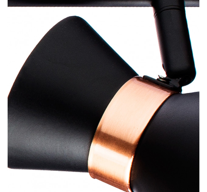 Спот Baltimore Arte Lamp A1406PL-3BK