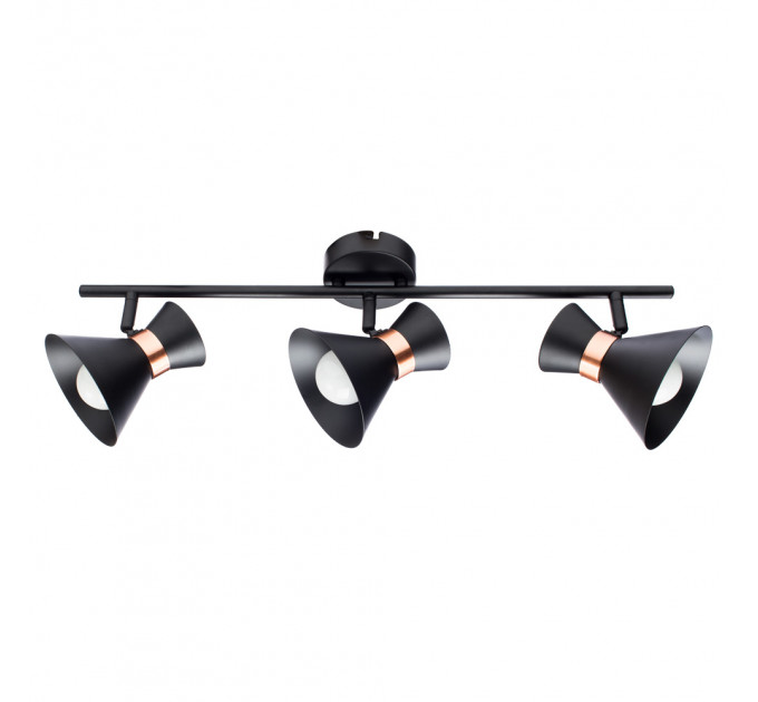 Спот Baltimore Arte Lamp A1406PL-3BK