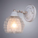 Настенное бра Malina Arte Lamp A7695AP-1WG