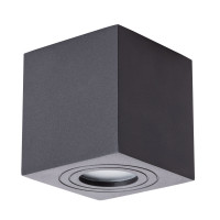 Накладной светильник Galopin Arte Lamp A1461PL-1BK