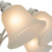 Потолочная люстра Emma Arte Lamp 8*60W Е27 A2713PL-8WG