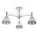 Потолочная люстра Fiamma Arte Lamp A3521PL-3CC