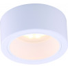 Накладной светильник Effetto Arte Lamp A5553PL-1WH