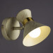 Спот Baltimore Arte Lamp A1406AP-1WG