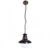 Подвесной уличный светильник Amsterdam Arte Lamp A1523SO-1BN