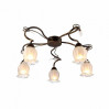 Потолочная люстра Glamore Arte Lamp A7449PL-5BR