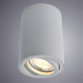 Накладной светильник Sentry Arte Lamp A1560PL-1GY