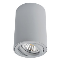 Накладной светильник Sentry Arte Lamp A1560PL-1GY