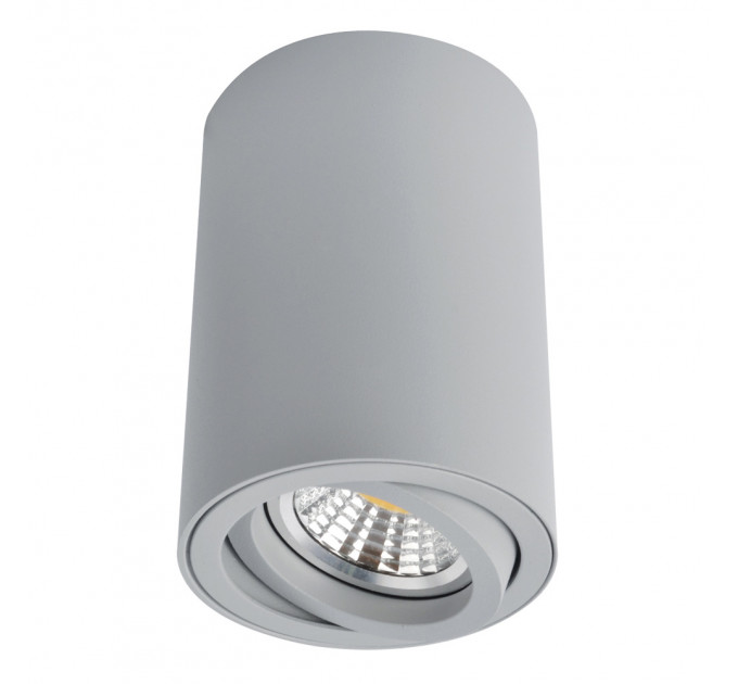 Накладной светильник Sentry Arte Lamp A1560PL-1GY