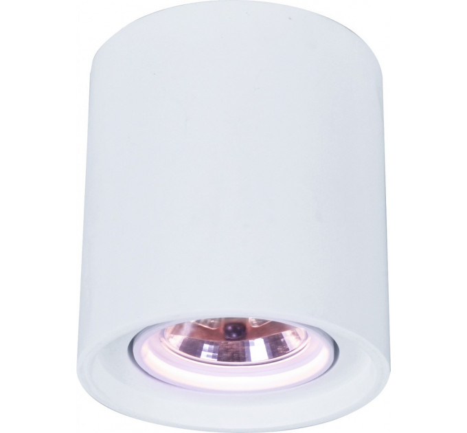 Накладной светильник Tubo Arte Lamp A9262PL-1WH