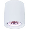 Накладной светильник Tubo Arte Lamp A9262PL-1WH