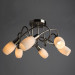 Потолочная люстра Volare Arte Lamp 6*40W Е14 A4591PL-6SS