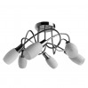 Потолочная люстра Volare Arte Lamp 6*40W Е14 A4591PL-6SS