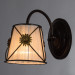 Настенное бра Fortuna Arte Lamp 1*60W Е14 A5495AP-1BR