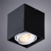 Накладной светильник Pictor Arte Lamp A5654PL-1BK