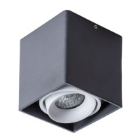 Накладной светильник Pictor Arte Lamp A5654PL-1BK