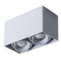 Накладной светильник Pictor Arte Lamp A5654PL-2GY