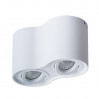 Накладной светильник Falcon Arte Lamp 2*50W GU10 белый A5645PL-2WH