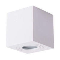 Накладной светильник Galopin Arte Lamp A1461PL-1WH