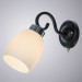 Настенное бра Krit Arte Lamp A4505AP-1BK