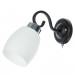 Настенное бра Krit Arte Lamp A4505AP-1BK