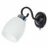 Настенное бра Krit Arte Lamp A4505AP-1BK