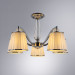 Потолочная люстра Talitha Arte Lamp A4047PL-5CC
