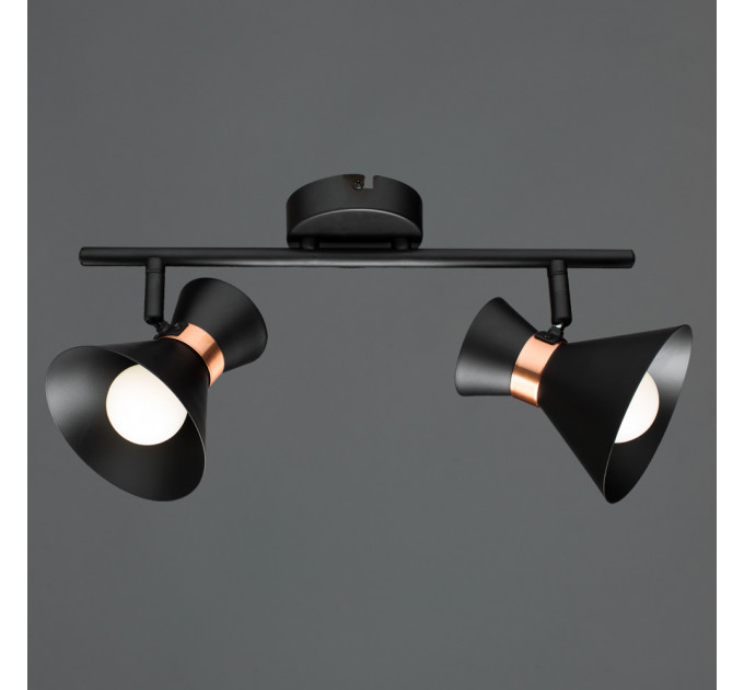 Спот Baltimore Arte Lamp A1406AP-2BK