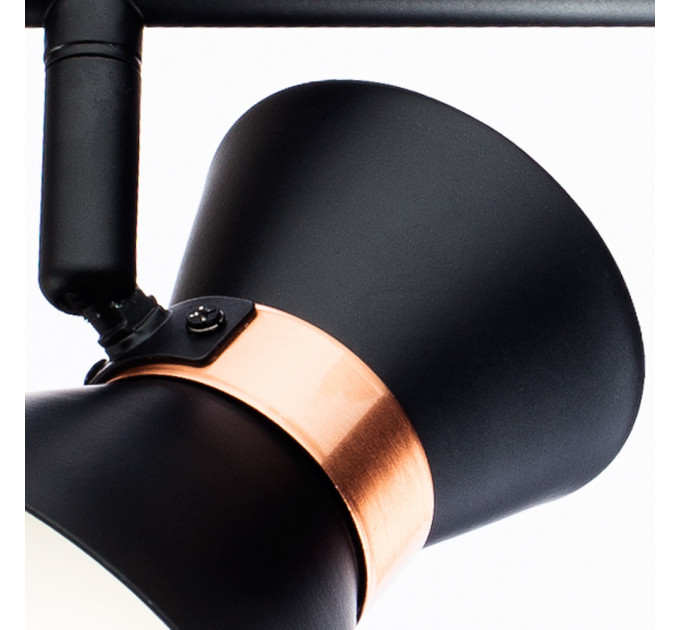 Спот Baltimore Arte Lamp A1406AP-2BK