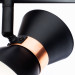 Спот Baltimore Arte Lamp A1406AP-2BK