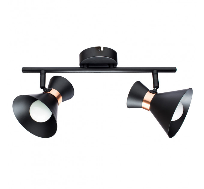 Спот Baltimore Arte Lamp A1406AP-2BK