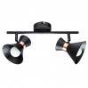 Спот Baltimore Arte Lamp A1406AP-2BK